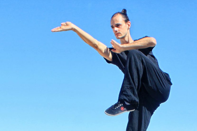 Palm Strikes In Choy Li Fut