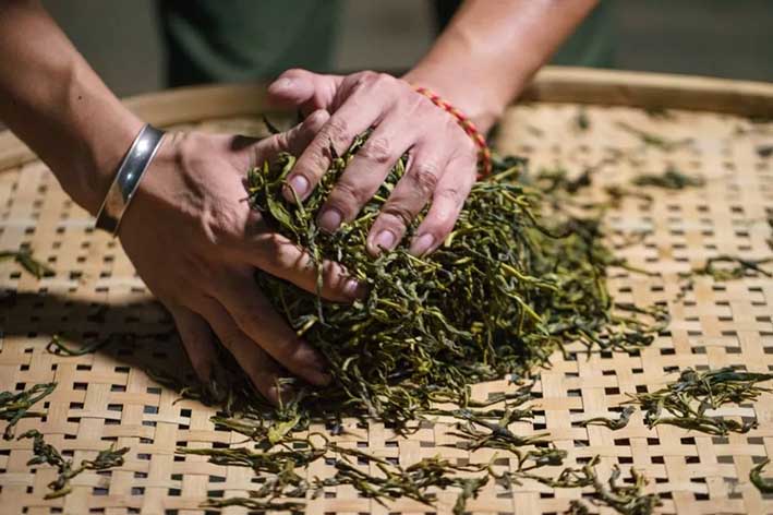 Producción tradicional del té, procesado del té, tea production,