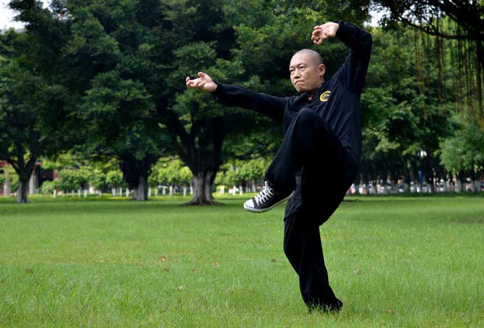 Sifu Liu Shi Qing. Tang Lang Quan Mantis Kung Fu