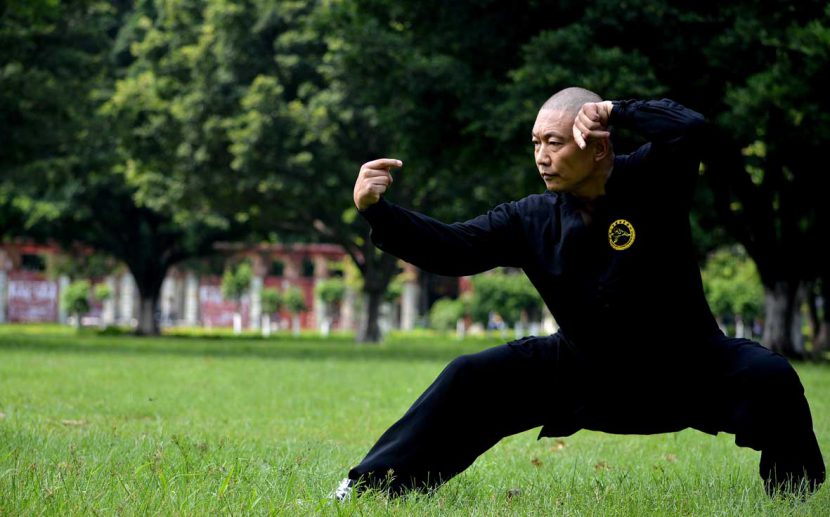 Tang Lang Quan Northern Praying Mantis