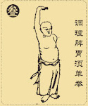 Separar el Cielo y la Tierra - Principles of Baduanjin Qigong (Eight Pieces of Brocade)