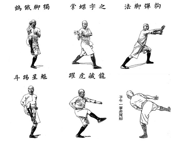 Posiciones Hung Kyun - The Differentiation of Styles in Kung Fu