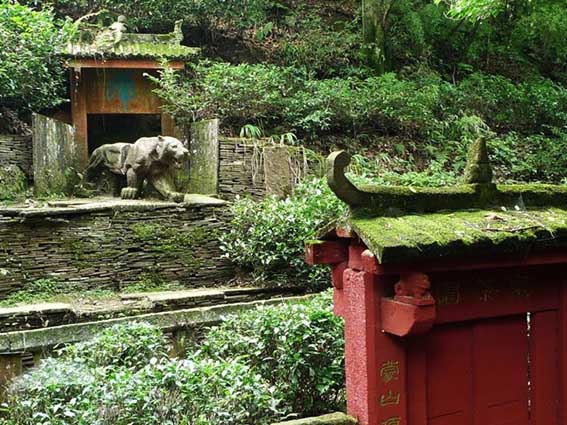 Jardin Imperial Mengding - Historia del Té y su Cultura (I): Primeros Usos del Té