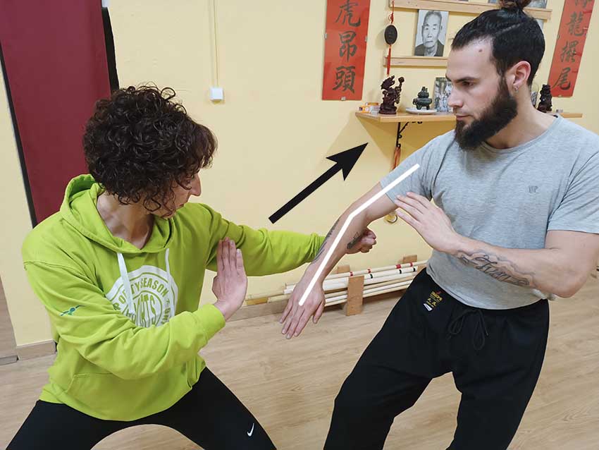 Chap Choi Pit Kiu - Common Mistakes in the Understanding of Choy Li Fut
