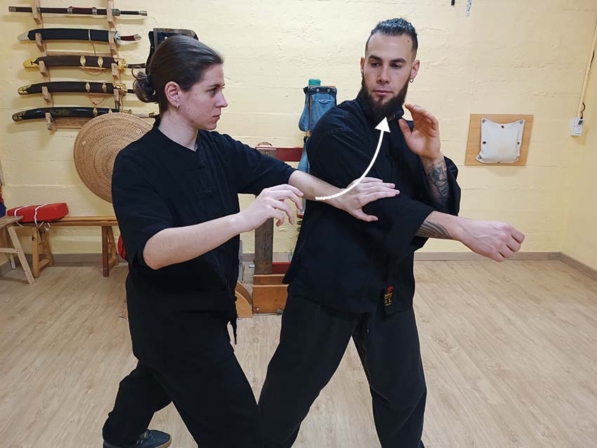 Kam Sou Corto - Common Mistakes in the Understanding of Choy Li Fut