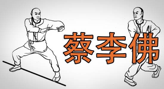 Choy Li Fut, aplicación del choy li fut, kungfu, kungfu applications, choy li fut applications,