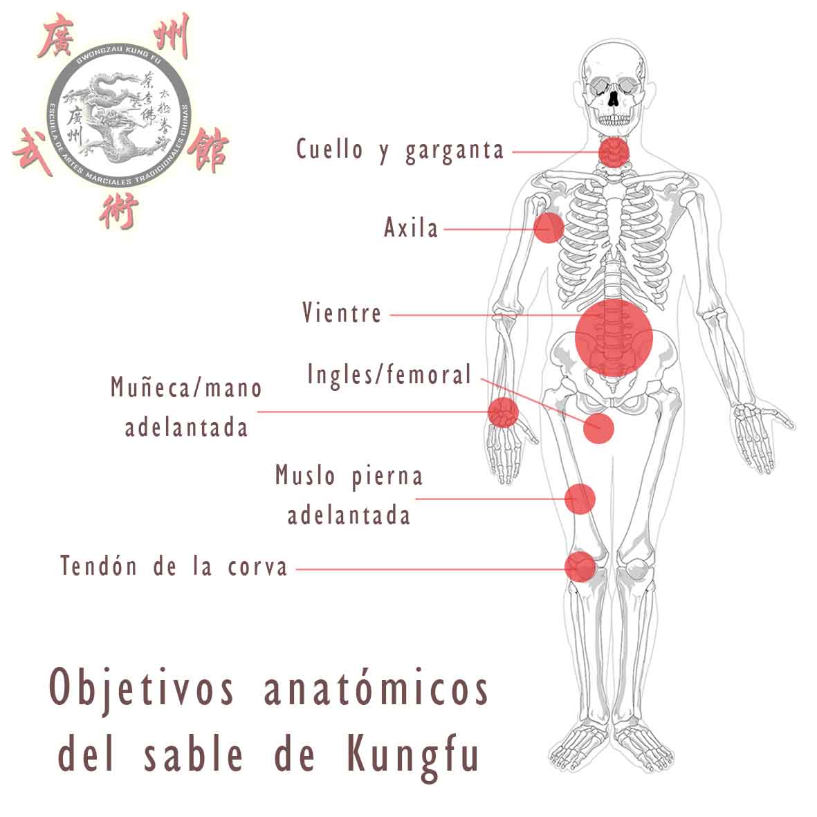 Objetivos anatomicos sable - Fundamentos del Estudio de Armas en el Kungfu