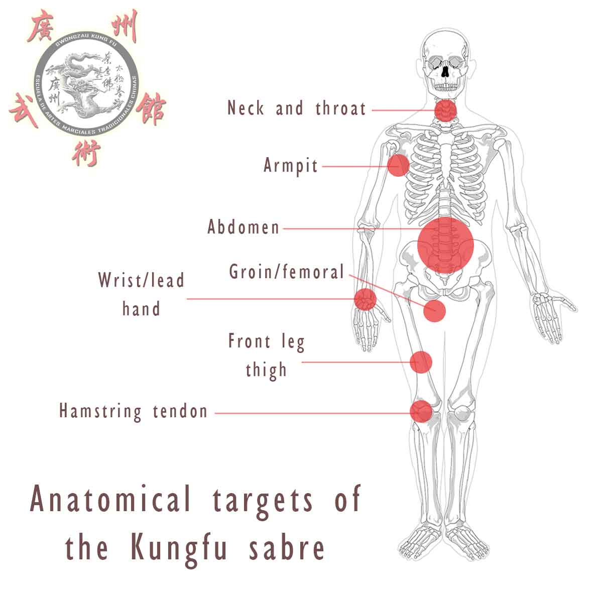 Sabre Anatomical Targets - Fundamentals of the Study of Weapons in Kungfu
