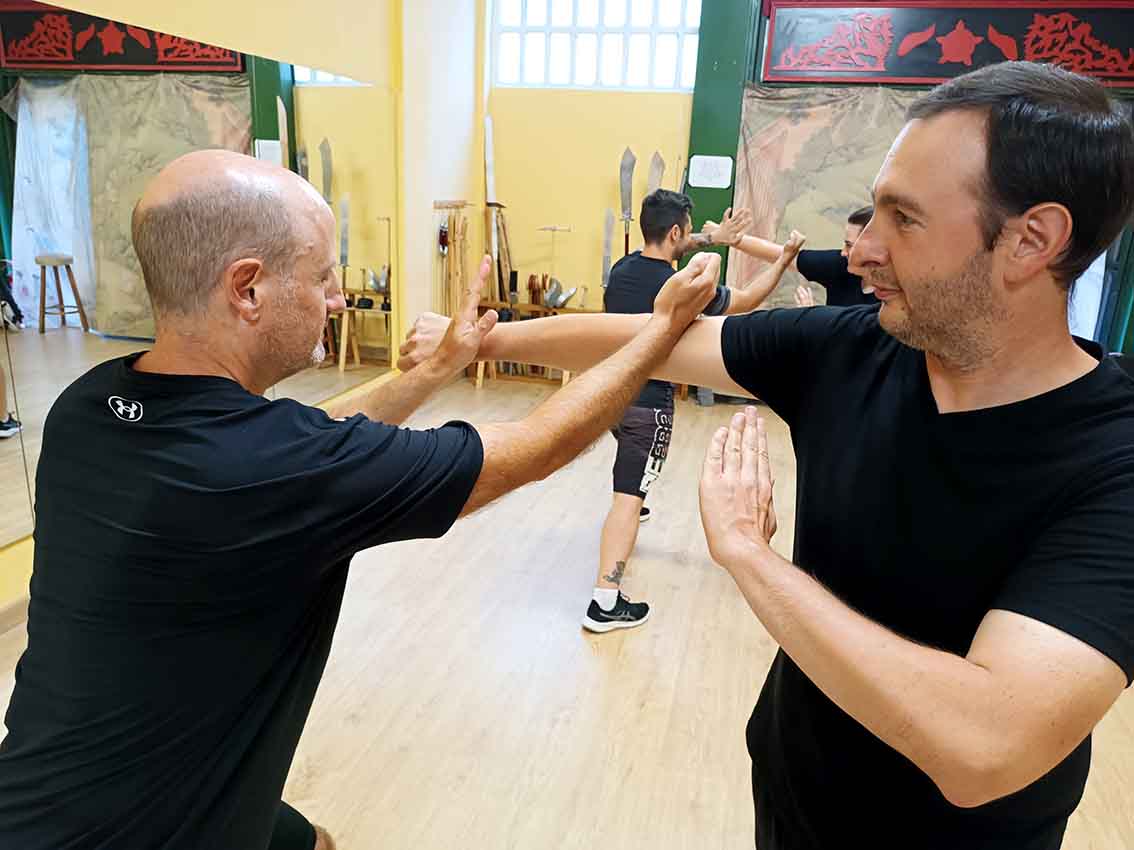 Ting Li Choy Li Fut - The Importance of Tīng Lì in Chinese Martial Arts