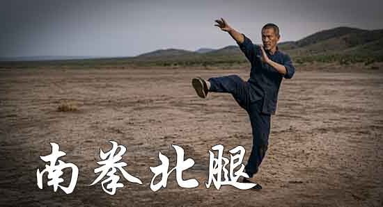 Puños del sur piernas del norte, proverbio chino nan quan bei tui