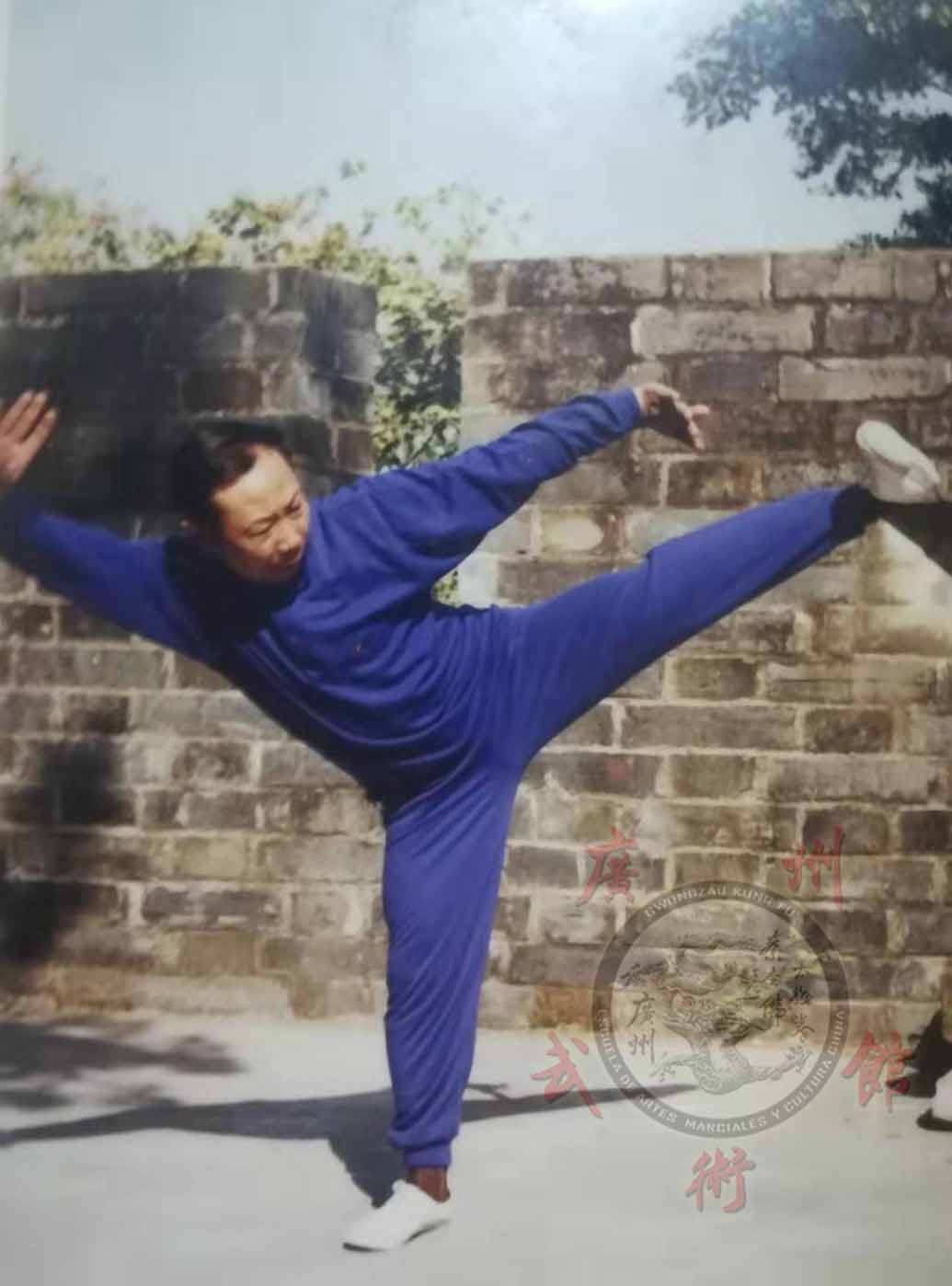 Pun Sifu Choy Li Fut - Our Lineage in Guǎngzhōu (Choy Li Fut History X)