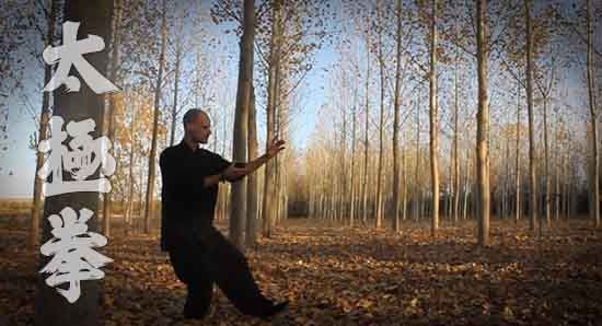 Taijiquan, Taichi
