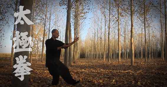 Tàijíquán (Taichi): Una Visión General Taijiquan, Taichi